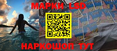 индика Гатчина