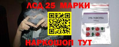 индика Гатчина