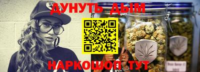 индика Гатчина