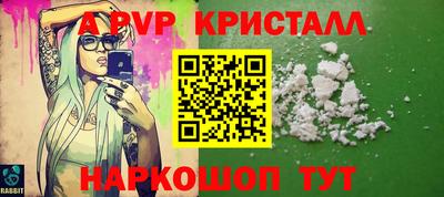 индика Гатчина