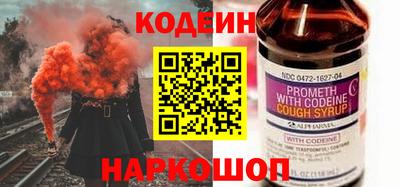 индика Гатчина
