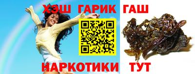 индика Гатчина