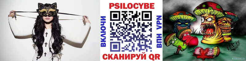Псилоцибиновые грибы Psilocybine cubensis  как найти   Химки 