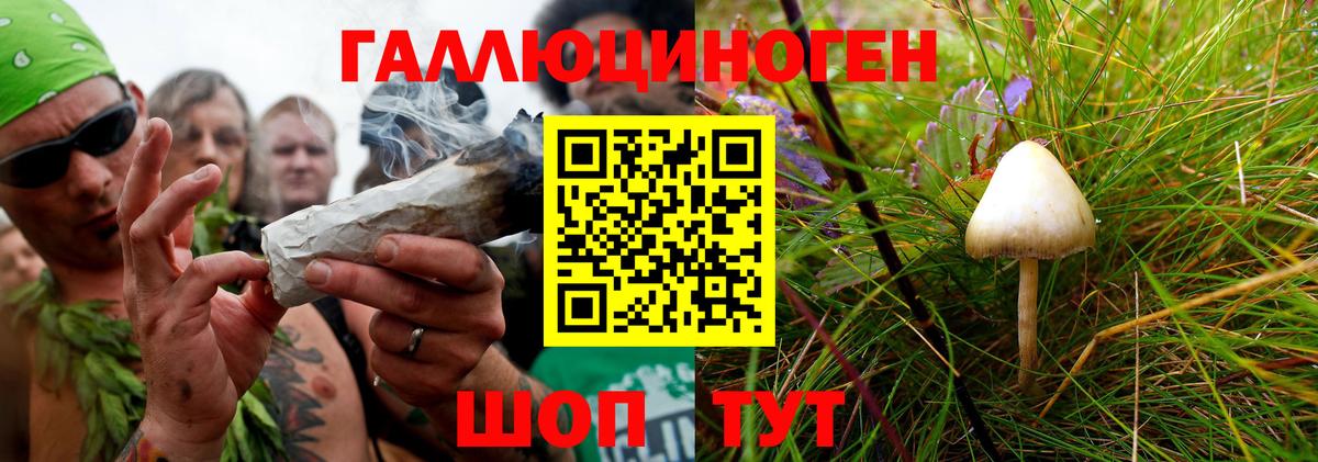 Псилоцибиновые грибы прущие грибы  Вход с VPN  Химки 
