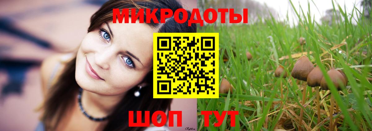 Псилоцибиновые грибы мухоморы Химки